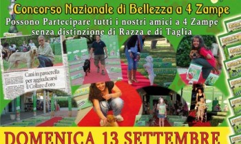 Clicca per allargare