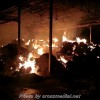 Incendio rimessa agricola a Costano, vigili del fuoco sul posto