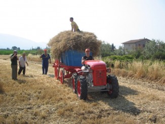 Trattori in Festa, sabato e domenica il 12esimo raduno amatori trattori d’epoca