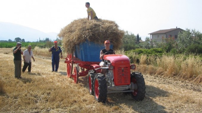 Trattori in Festa, sabato e domenica il 12esimo raduno amatori trattori d’epoca