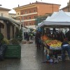 Marco Nicolini, spuntista al mercato rionale, senza lavoro fino al 31 marzo