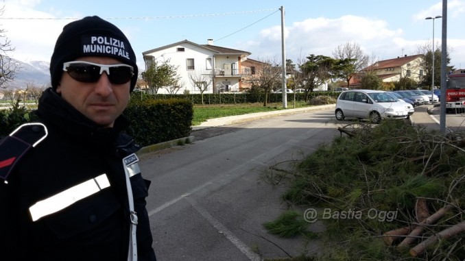 Alberature pericolose proprietà privata, eliminare elementi di rischio per sicurezza pubblica