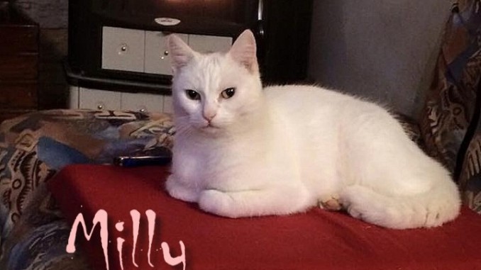MILLY