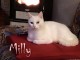 MILLY