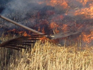 incendio sterpaglie