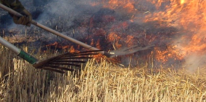incendio sterpaglie
