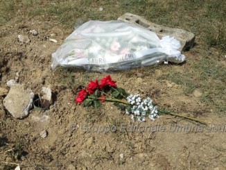 Morte del 15enne, vicesindaco Fratellini: "Reti non idonee a sopportare il peso di chi si arrampica"