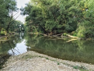 Bastia Umbra, aree verdi, amministrazione ha stanziato diecimila euro