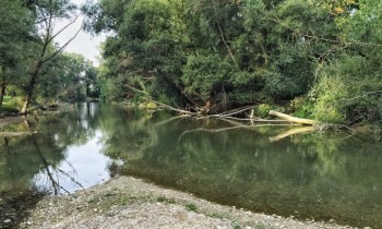 Bastia Umbra, aree verdi, amministrazione ha stanziato diecimila euro