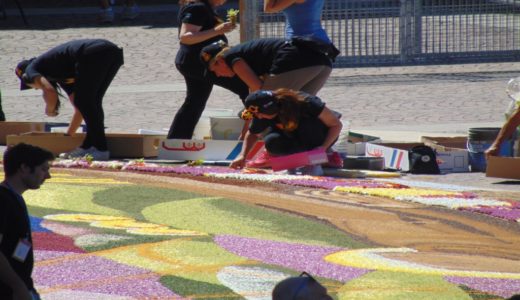 infiorata ok