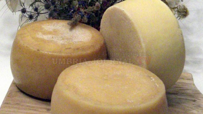Sos pecorino di Amatrice, Il Giunco di Bastia Umbra raccoglie fondi