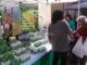 Fiera di San Michele Arcangelo a Bastia Umbra domenica 13 ottobre