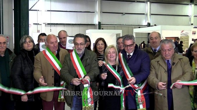 Expo Regalo, taglio del nastro per “Natale Insieme per Ricostruire”!