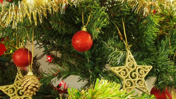Palio San Michele Bastia Umbra prima edizione Concorso Alberi Artistici