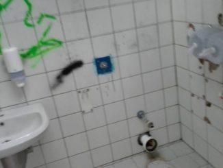 Vandali a Bastia, distrutti bagni pubblici dei Giardini di viale Marconi