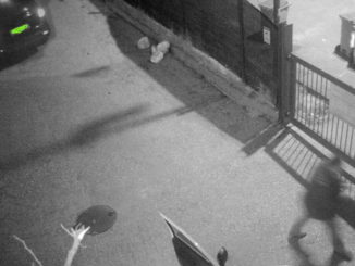 Otto sanzioni per rifiuto selvaggio, quattro per un solo utente