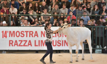 Pd Bastia, Agriumbria anche nelle vie e piazze del centro cittadino