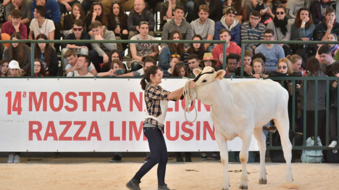 Pd Bastia, Agriumbria anche nelle vie e piazze del centro cittadino