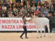 Pd Bastia, Agriumbria anche nelle vie e piazze del centro cittadino