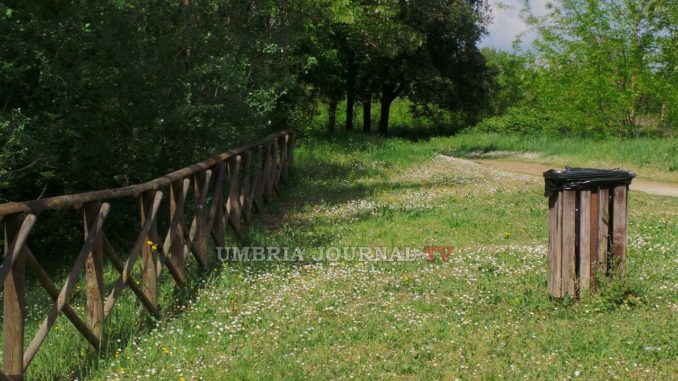 Passeggiata con il Piedibus, domenica al Percorso verde di Bastia