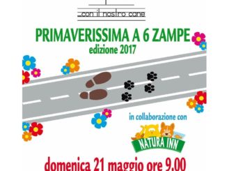 Primaverissima a 6 zampe, A tu per tu onlus aiuta i cani abbandonati