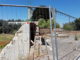 Fonte Moncioveta Bastia Umbra nel degrado, Tadioli, quale futuro?