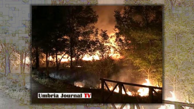 Fiamme nella notte, incendio al percorso verde di Bastia Umbra