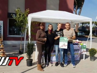 Manca solo un giorno per la Festa degli Alberi e PiantiAmo Bastia