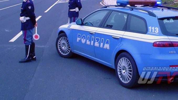 Maiale su strada, la polizia di Stato lo salva, succede a Bastia