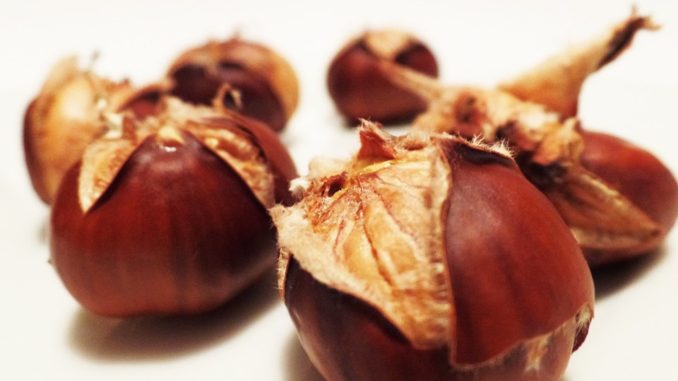 Castagne e vino, è festa sabato sera con il Gruppo Giovanile di Costano
