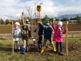 PiantiAmoBastia, l'acero rosso della prima elementare di Costano