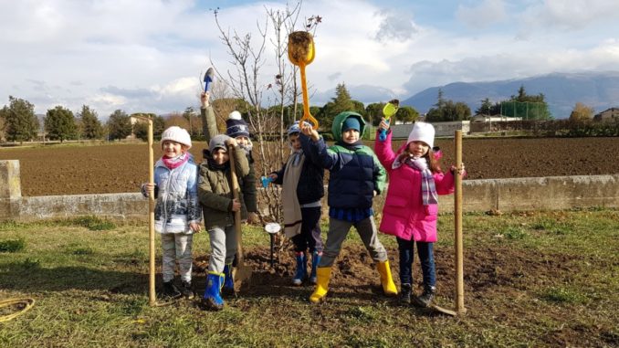 PiantiAmoBastia, l'acero rosso della prima elementare di Costano