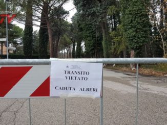 Strade chiuse a Bastia Umbra per abbattimento alberi pericolanti