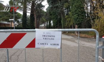 Strade chiuse a Bastia Umbra per abbattimento alberi pericolanti