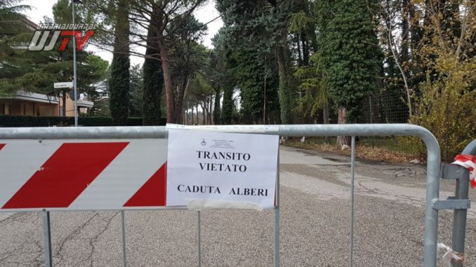 STRADA-CHIUSA-CADUTA-ALBERI Strade chiuse a Bastia Umbra per abbattimento alberi pericolanti