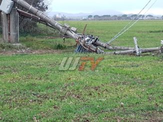 Palo Enel si schianta a causa di una pianta tra Bastia e Petrignano