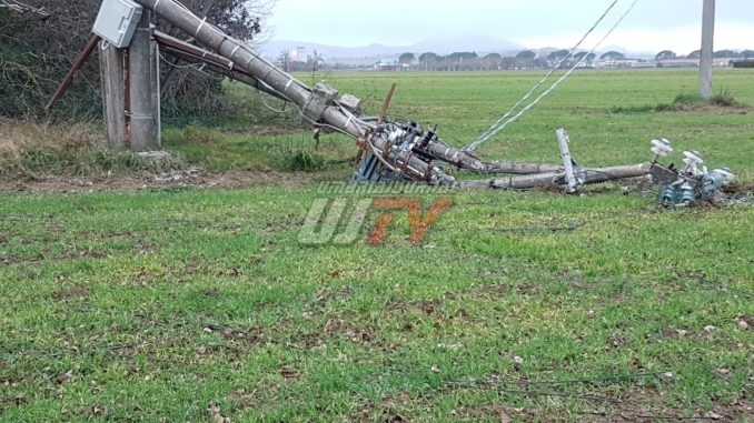 Palo Enel si schianta a causa di una pianta tra Bastia e Petrignano