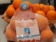 IC Bastia 1, una corretta e sana alimentazione, un percorso didattico e di vita