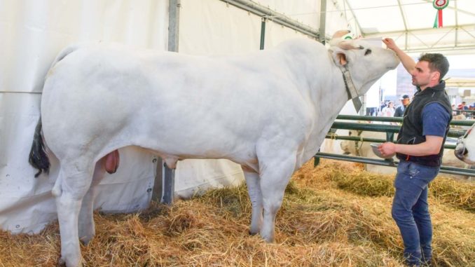Inaugurata Agriumbria ed è già da record Gemellaggio tra Comuni