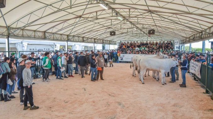 Appello per il Centro Fiere di Bastia, Modena, questo lo stato dell'arte