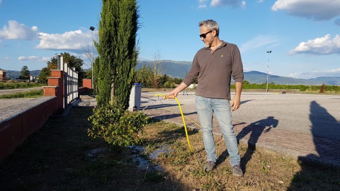 PiantiAmo Bastia, cresce il bellissimo platano messo a dimora questo autunno
