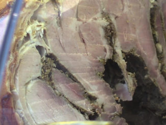 La vibrante voce di Maria Elisa Bernardini lunedì sera alla Sagra della Porchetta