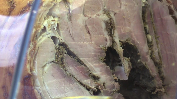 La vibrante voce di Maria Elisa Bernardini lunedì sera alla Sagra della Porchetta