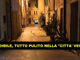 Bulli minacciano abitante, Claudia Lucia, servono soluzioni efficaci e immediate