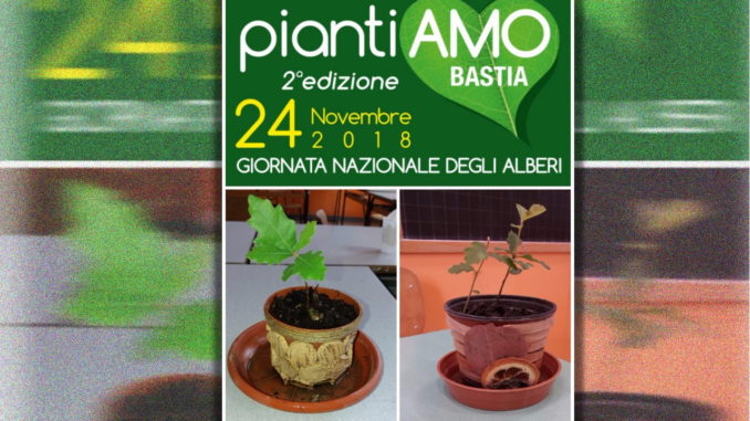 Gli alberi della scuola Don Bosco, nate tre nuove querce