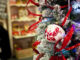 Natale è, bel primo weekend a Umbriafiere i Bastia