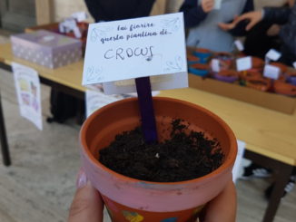 Fai fiorire la pace, i vasetti coi bulbi per la solidarietà in Piazza a Bastia Umbra