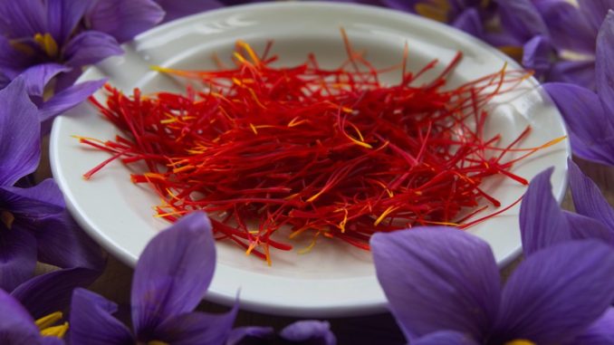Profumi di primavera a Bastia Umbra anche col trenino fino in Centro storico