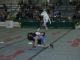 Cani e gatti, convivenza felice a Umbria Pet il 5 e 6 ottobre a Bastia