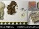 Polizia ferma alla stazione di Bastia un uomo 6 pezzi di hashish